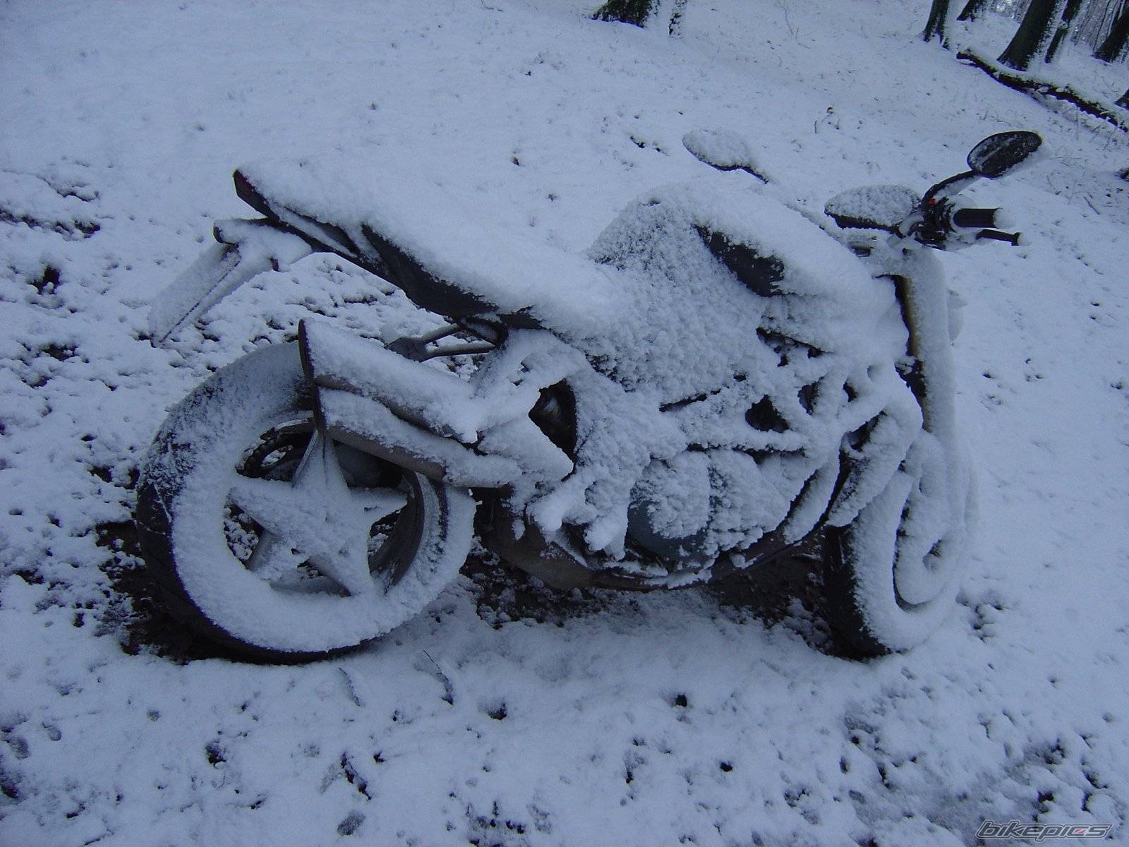 Photo 424231