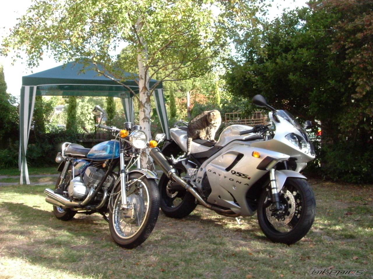 Bike Photo 424426