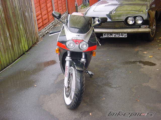 Photo 42448