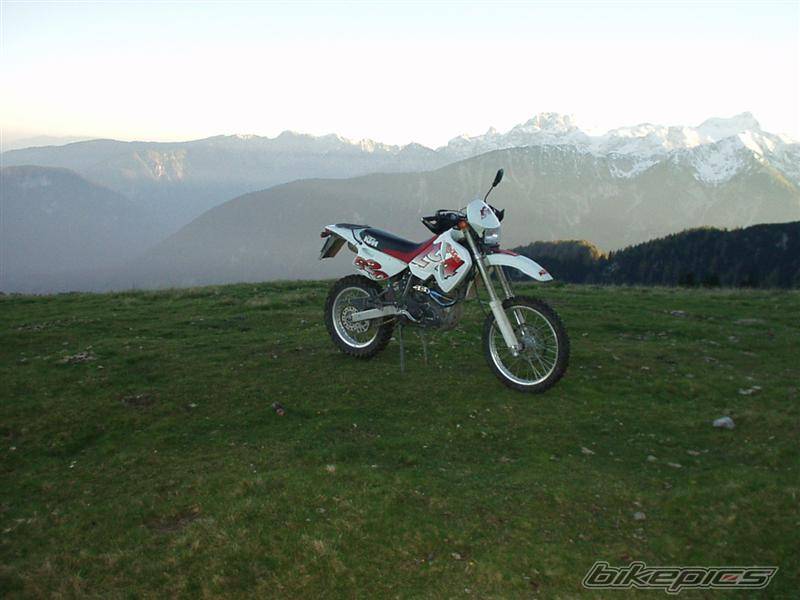 Photo 42472