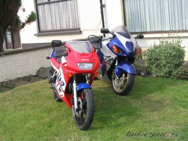 Photo 424742