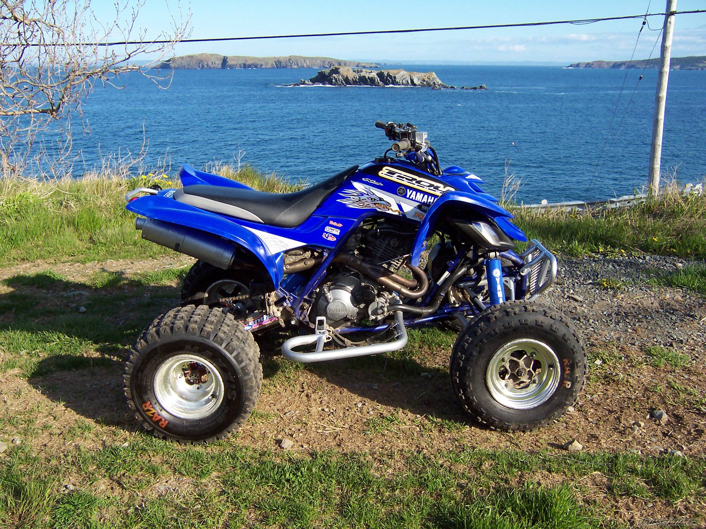 Photo 424923
