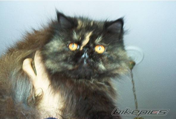 Photo 42507