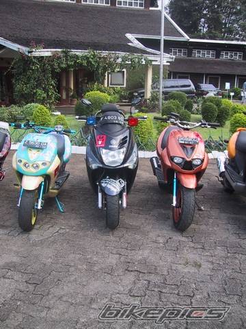 Photo 425222
