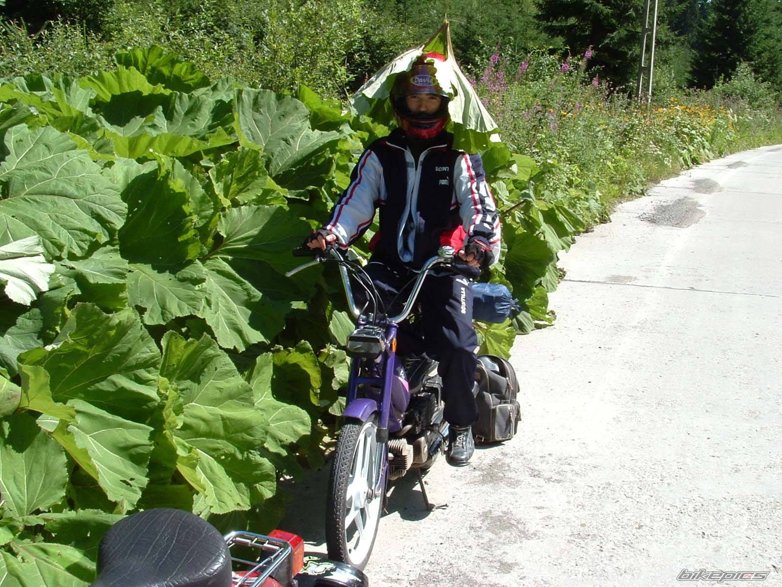 Bike Photo 425350