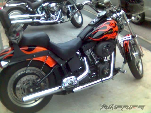 Photo 425542