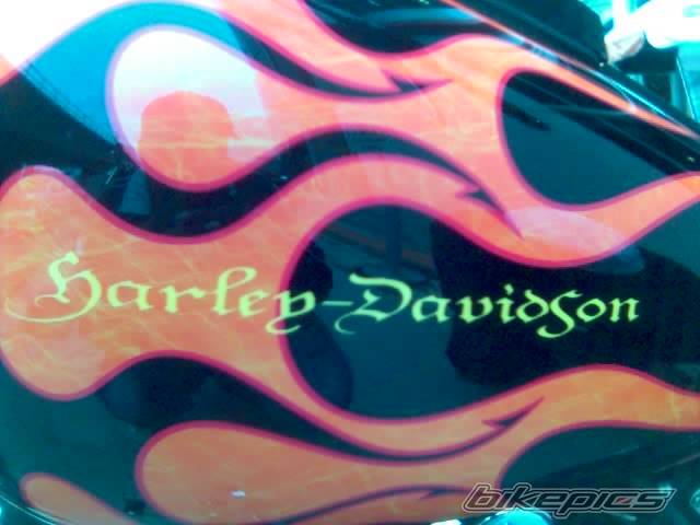 Photo 425545