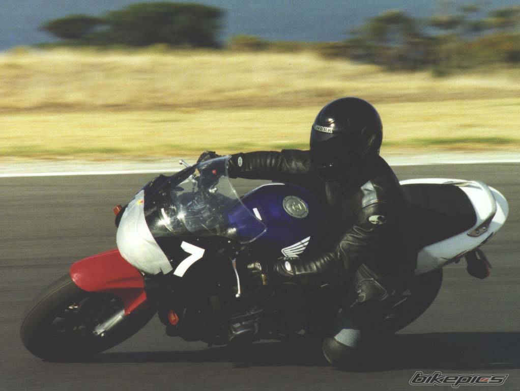 Photo 42556