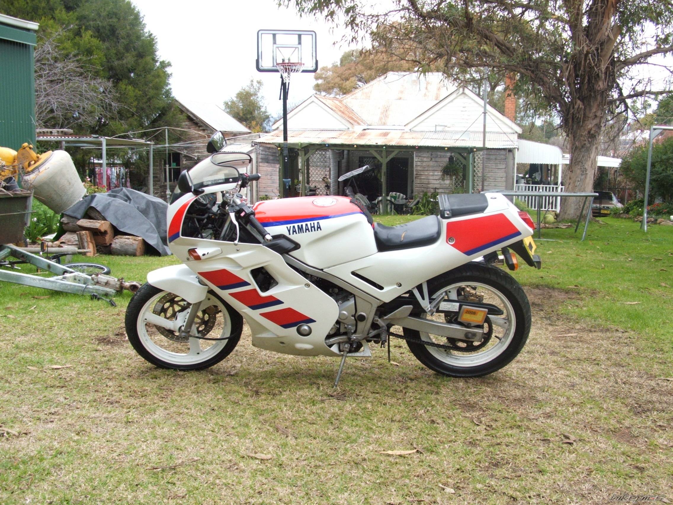 Photo 425572
