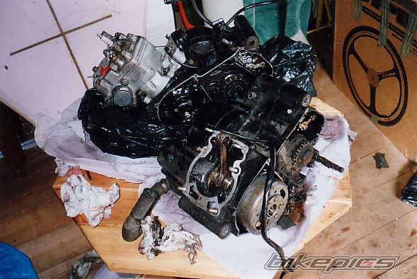 Photo 4256