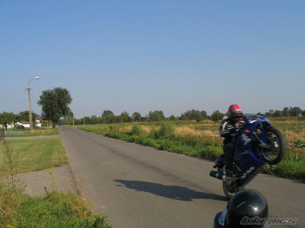Photo 425608