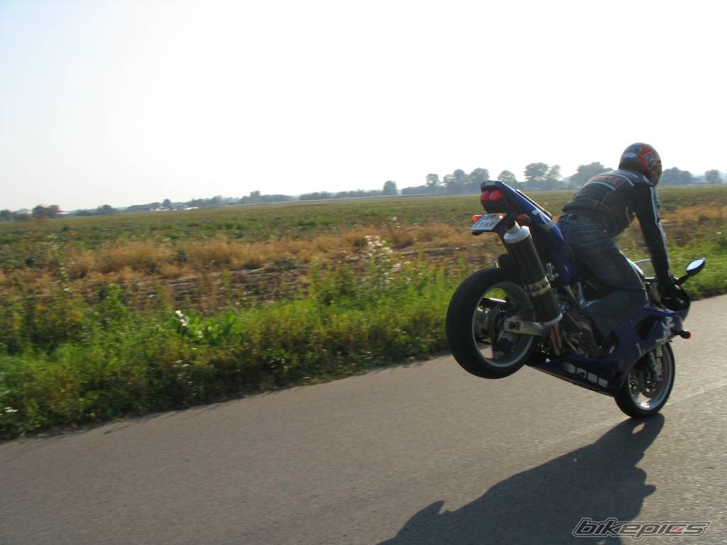 Photo 425611