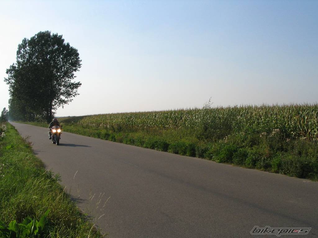 Photo 425614