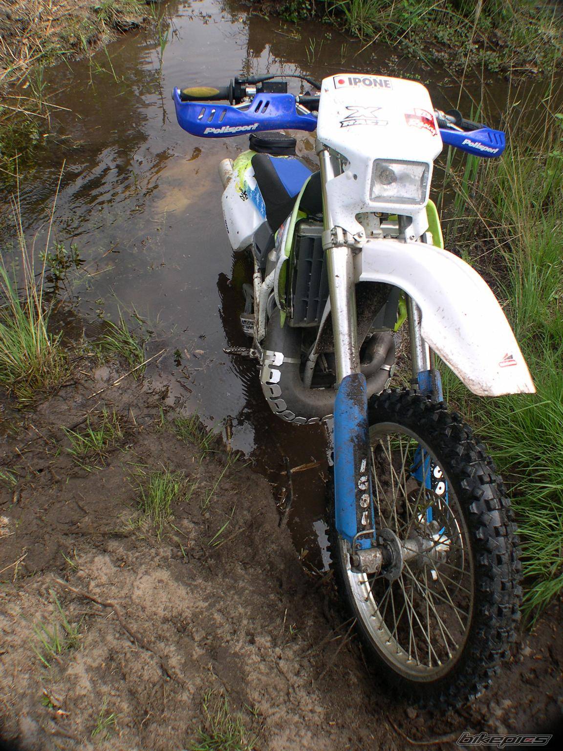 Photo 425639