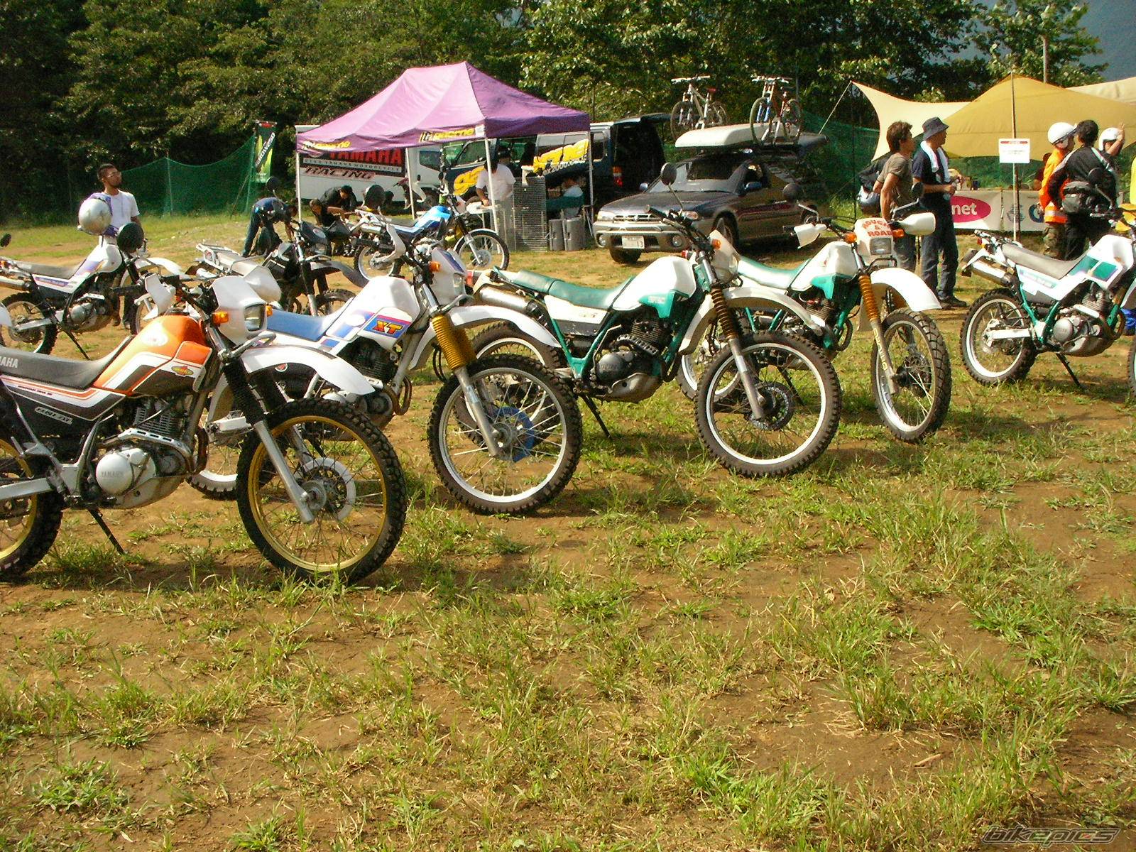 Bike Photo 425649