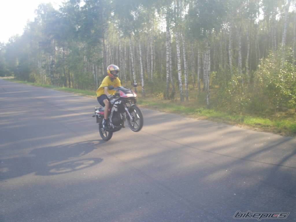 Photo 425700