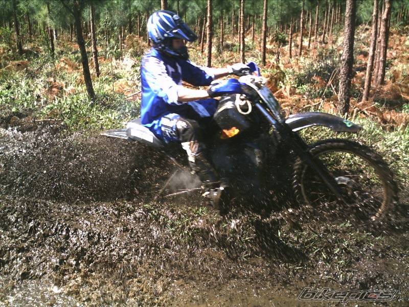 Bike Photo 425720