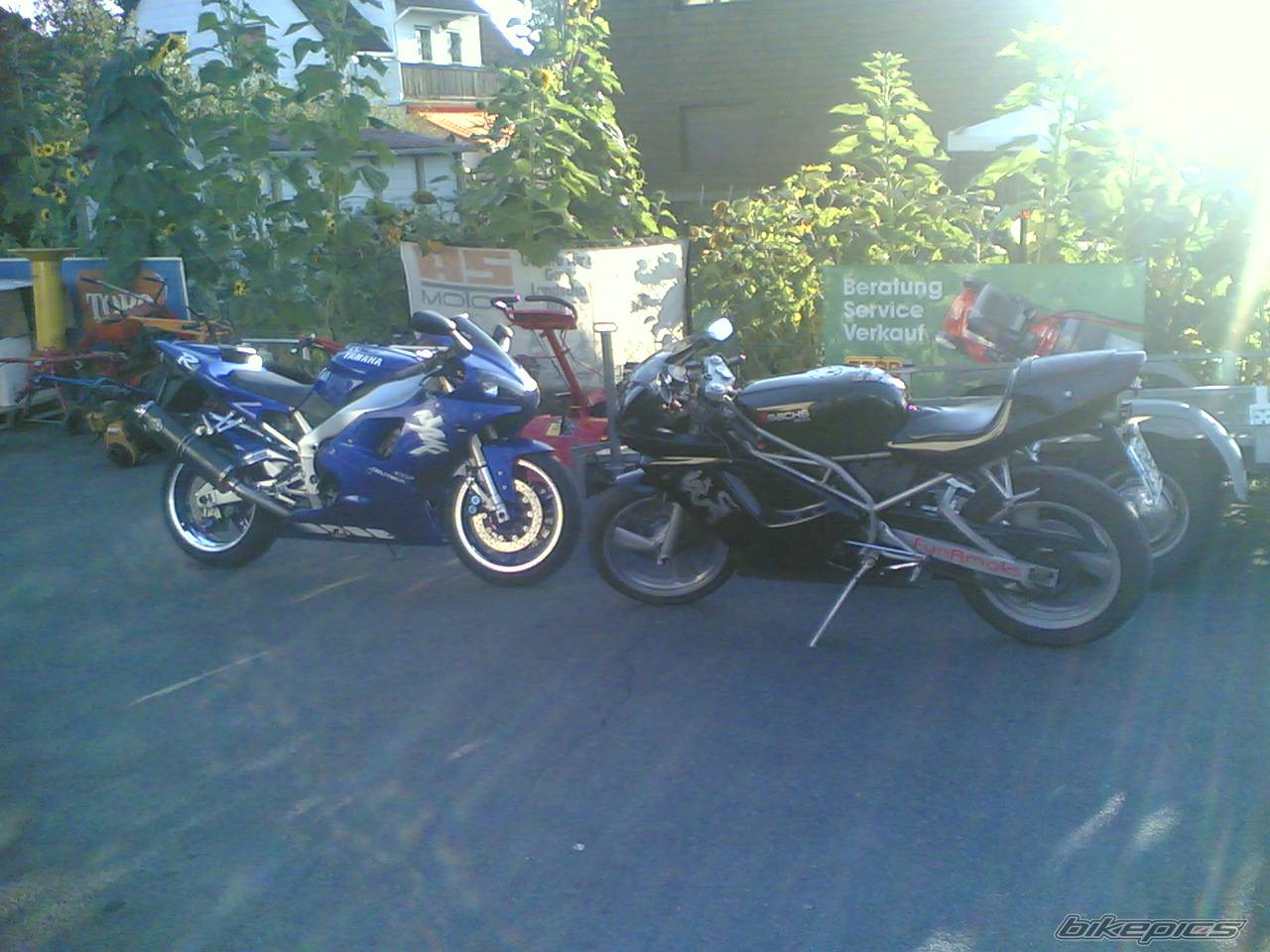 Photo 425740