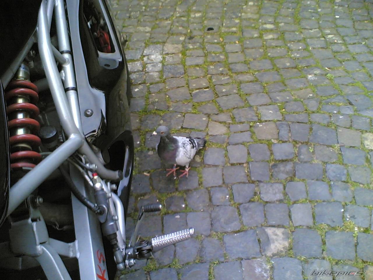 Photo 425742