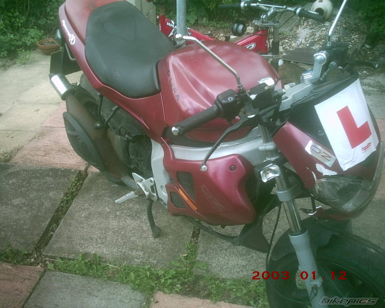 Bike Photo 425771