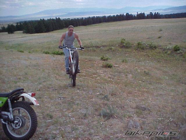 Photo 425934