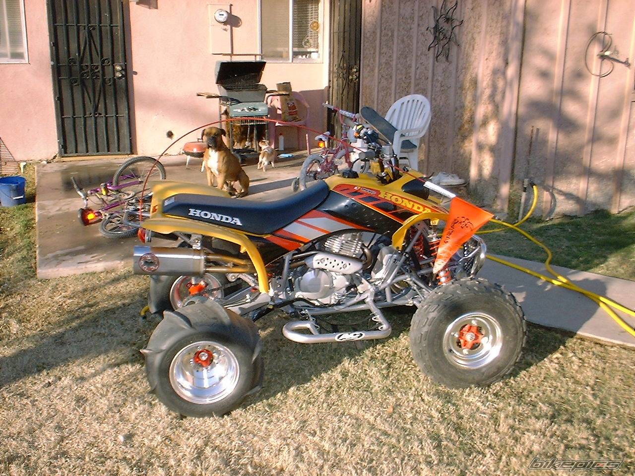 Photo 425938