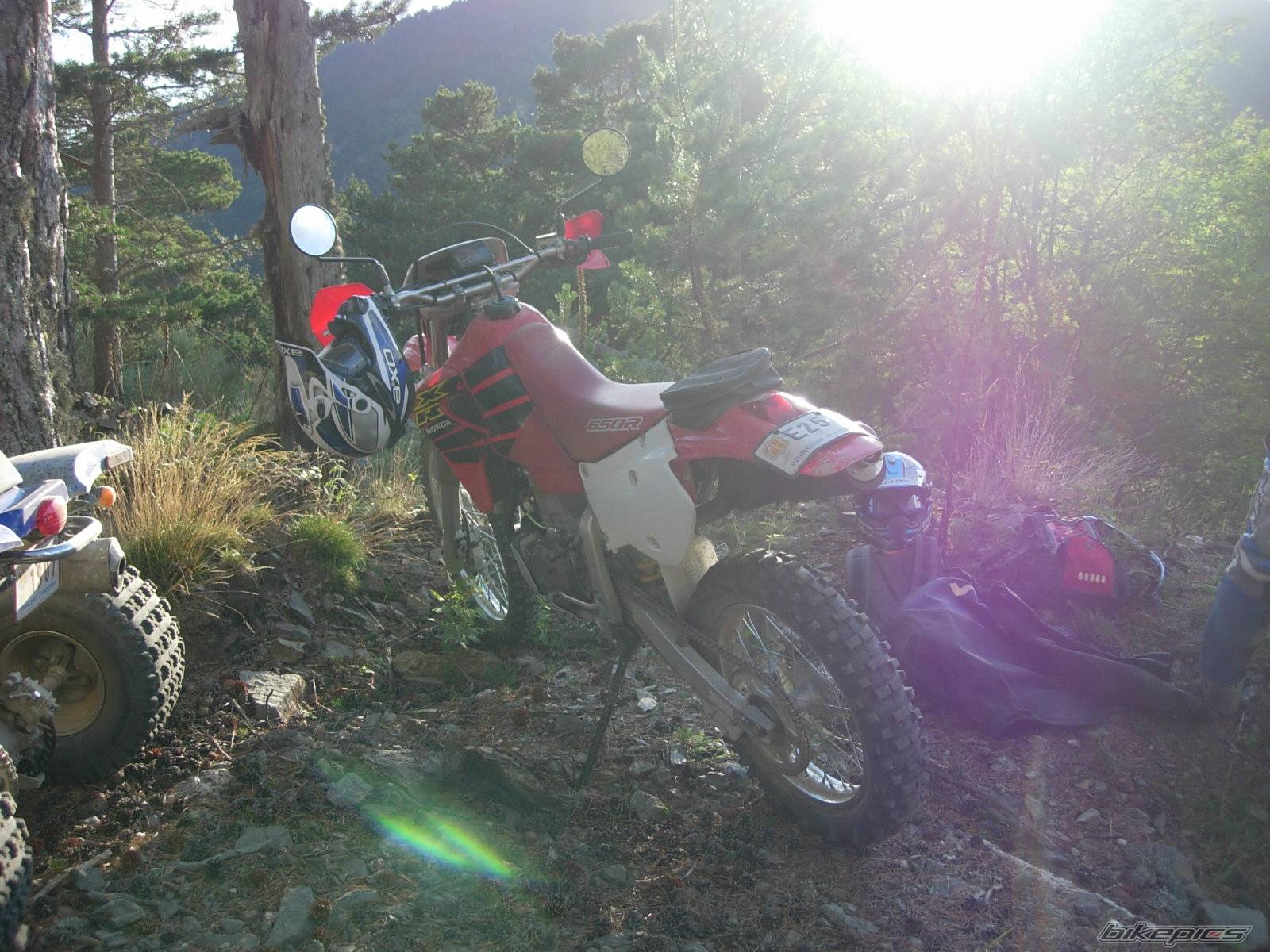 Bike Photo 426021