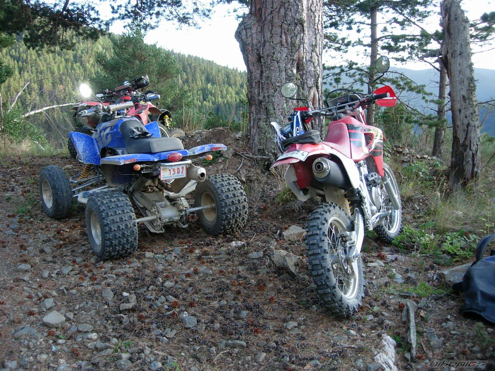 Bike Photo 426022