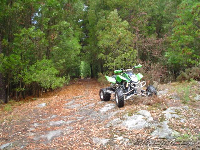 Photo 426041
