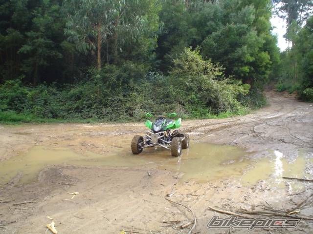 Photo 426054