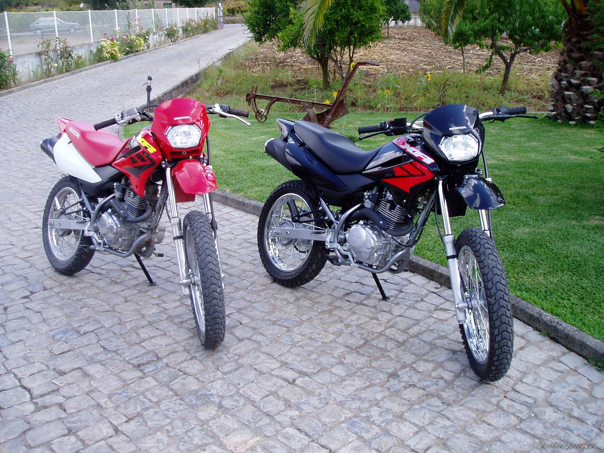 Photo 426063