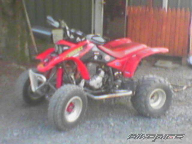 Photo 426272