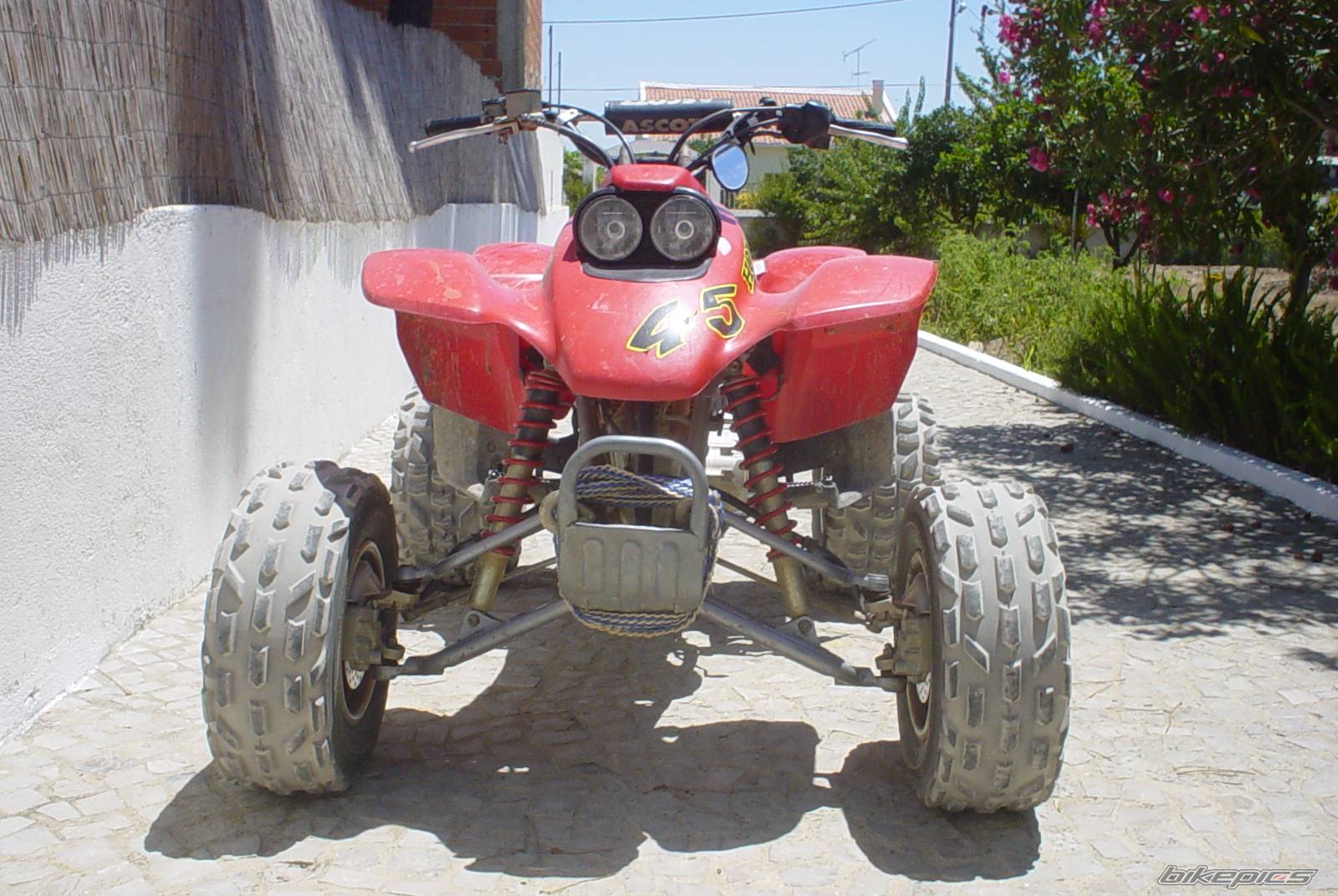 Photo 426366