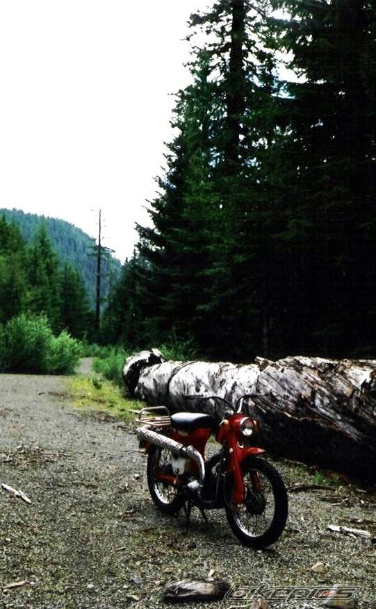 Photo 426463