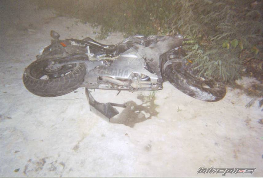 Photo 42649