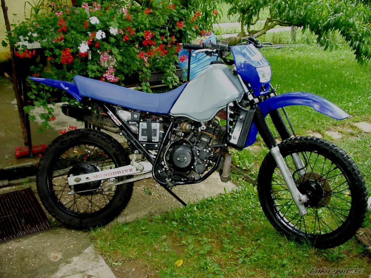 Bike Photo 426545