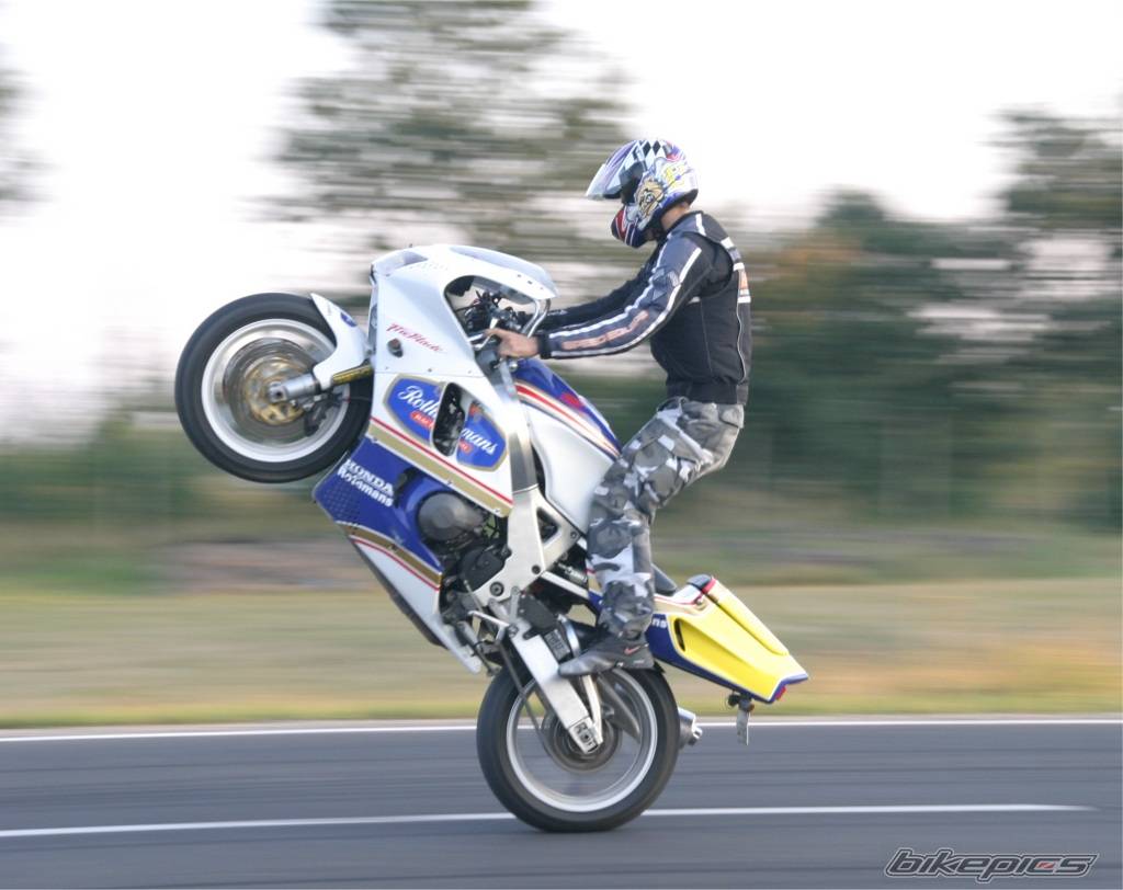 Photo 426637