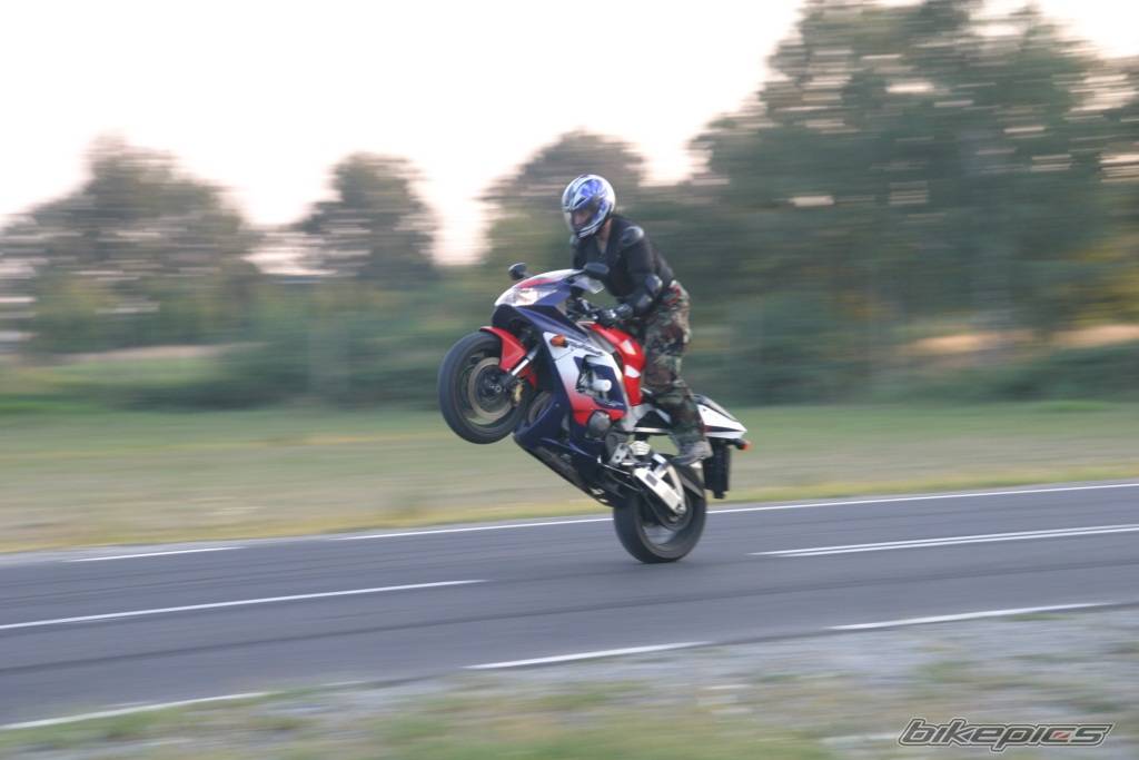 Photo 426649