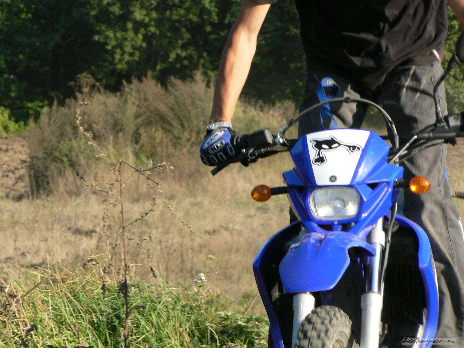 Photo 426650