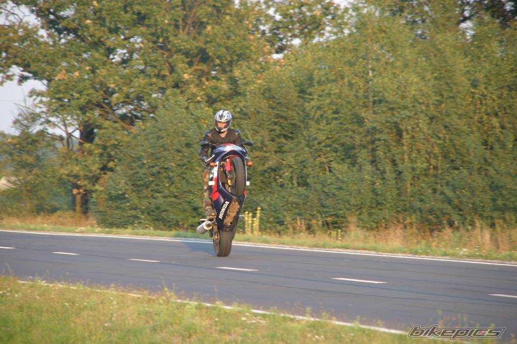 Photo 426654