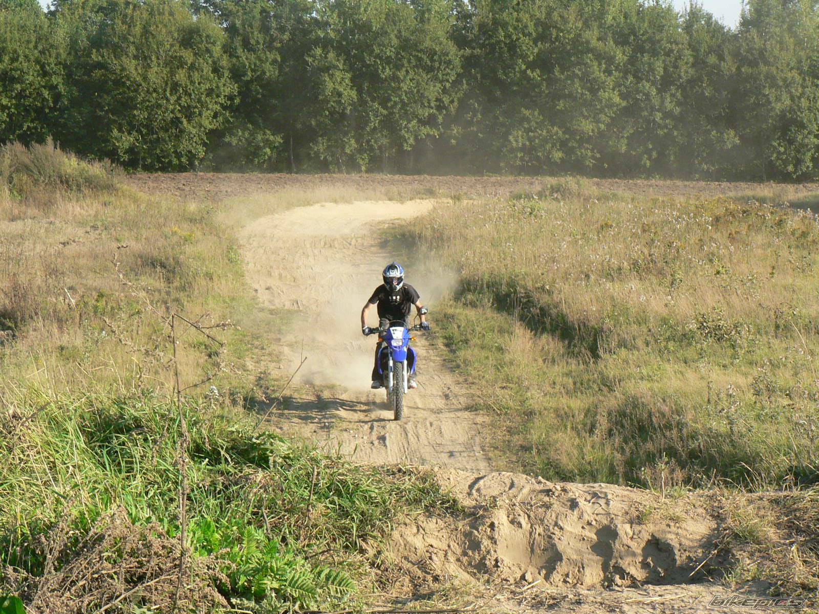 Photo 426655