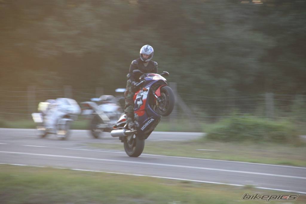 Photo 426658