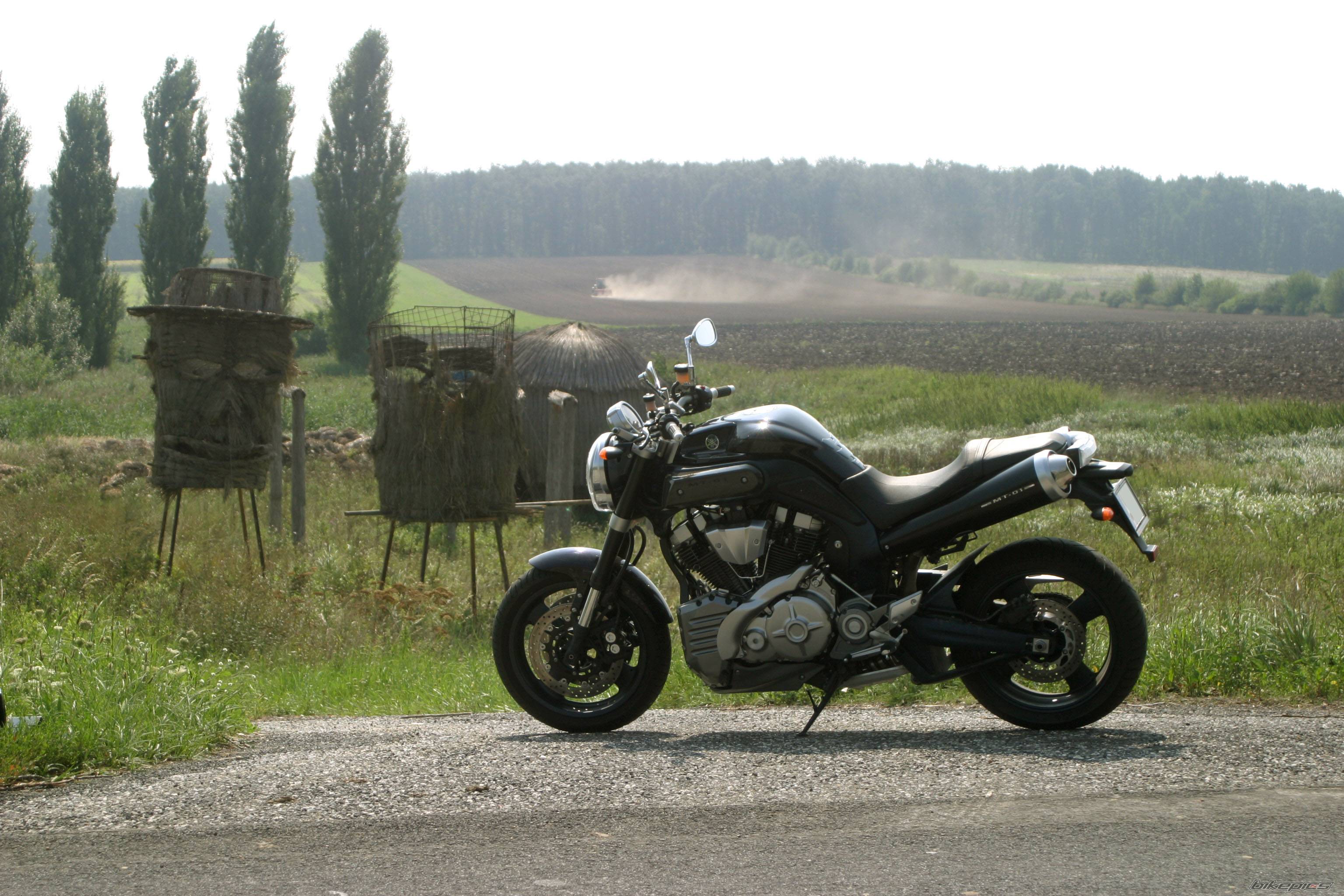 Photo 426745