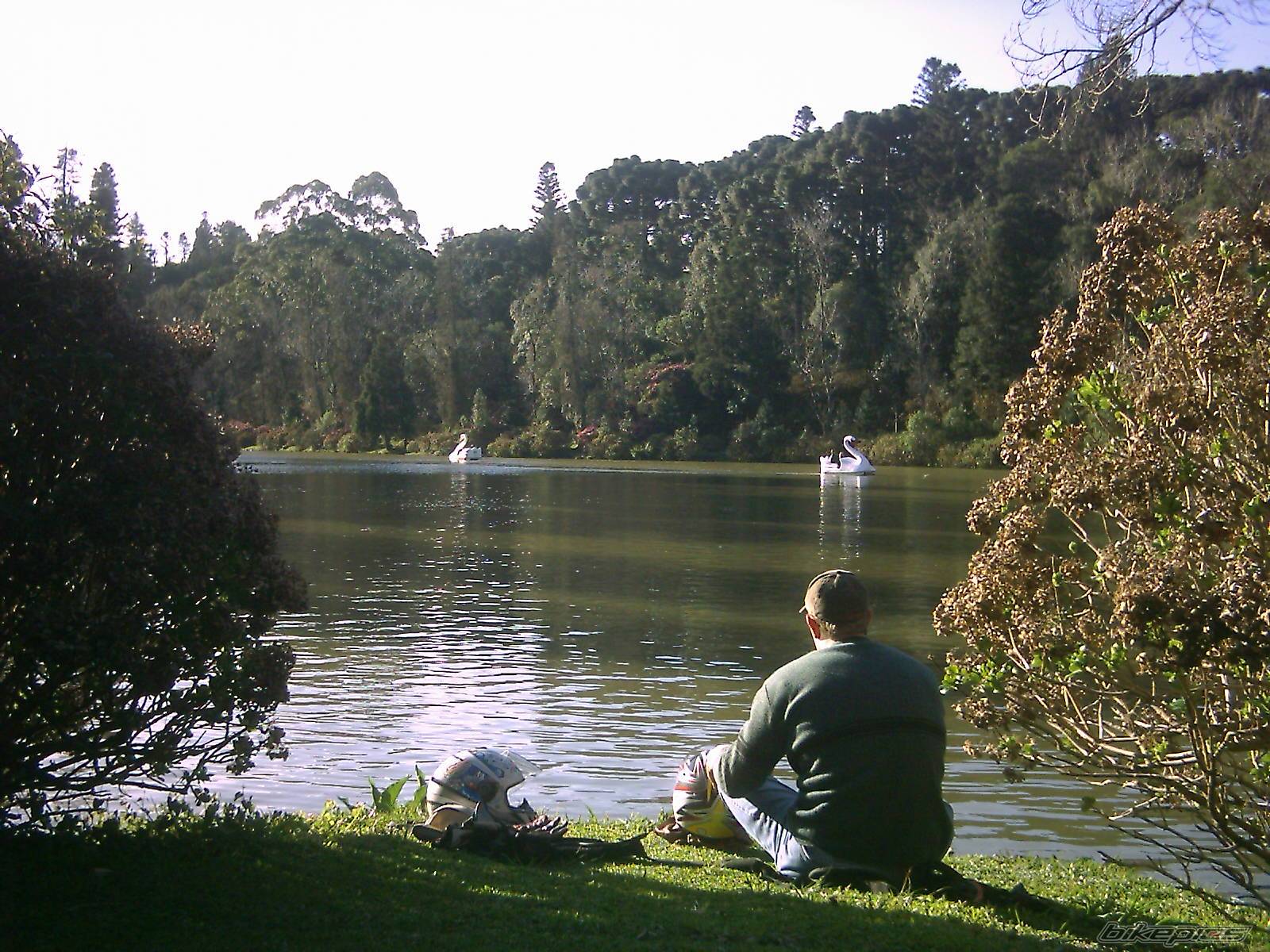 Photo 426833