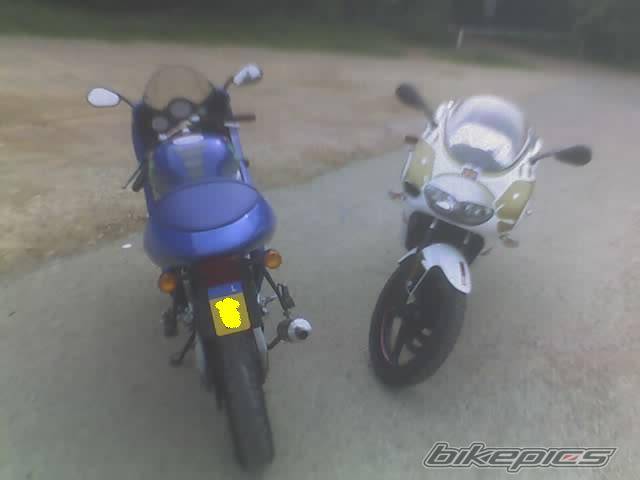 Photo 426871