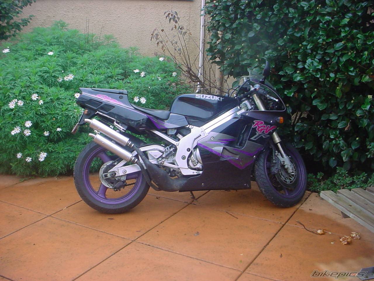 Photo 42691