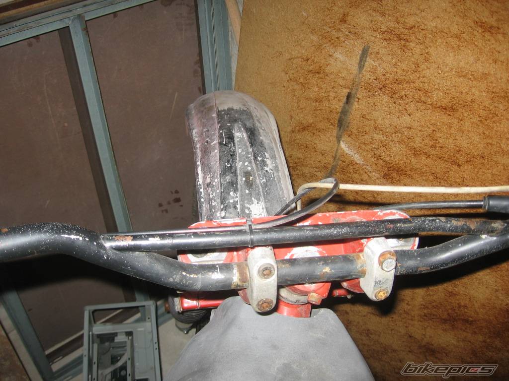 Photo 426999