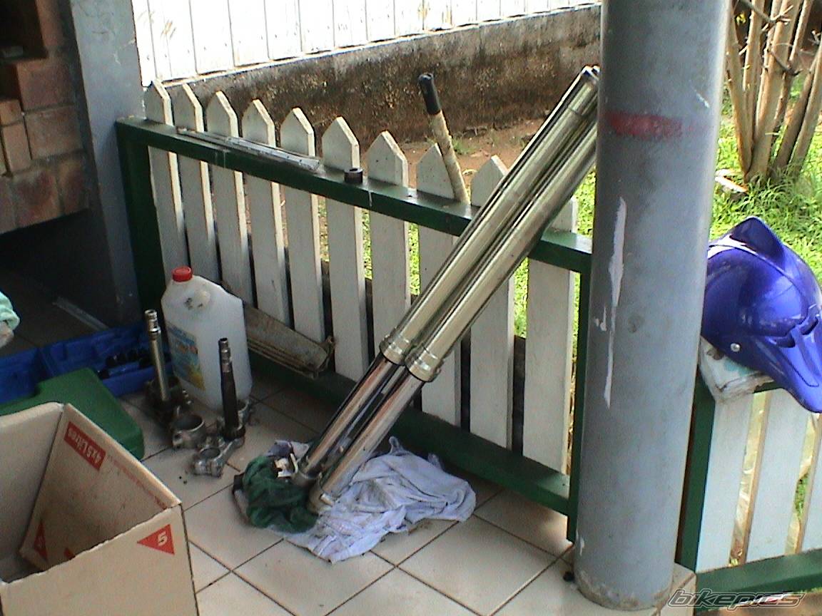 Photo 427271