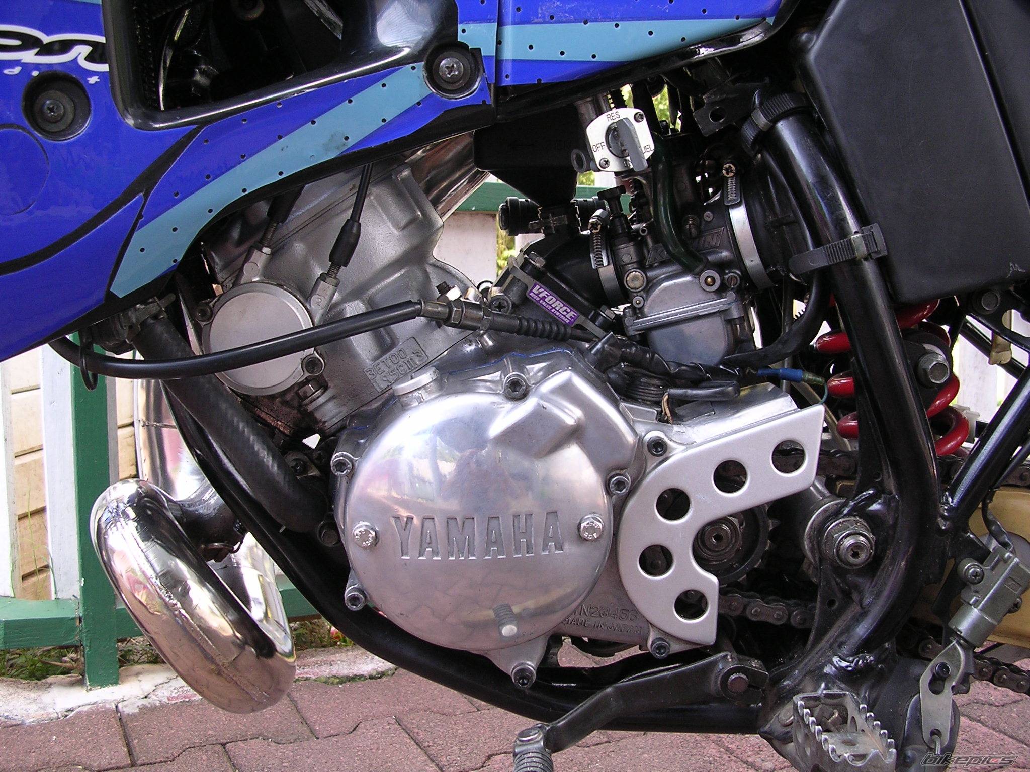 Photo 427285