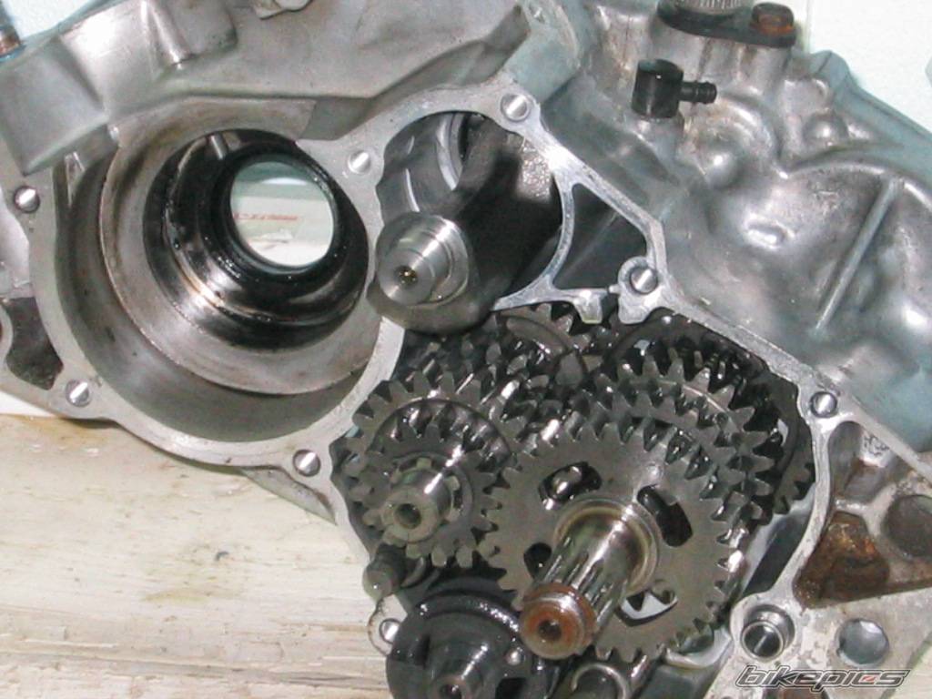 Photo 427292